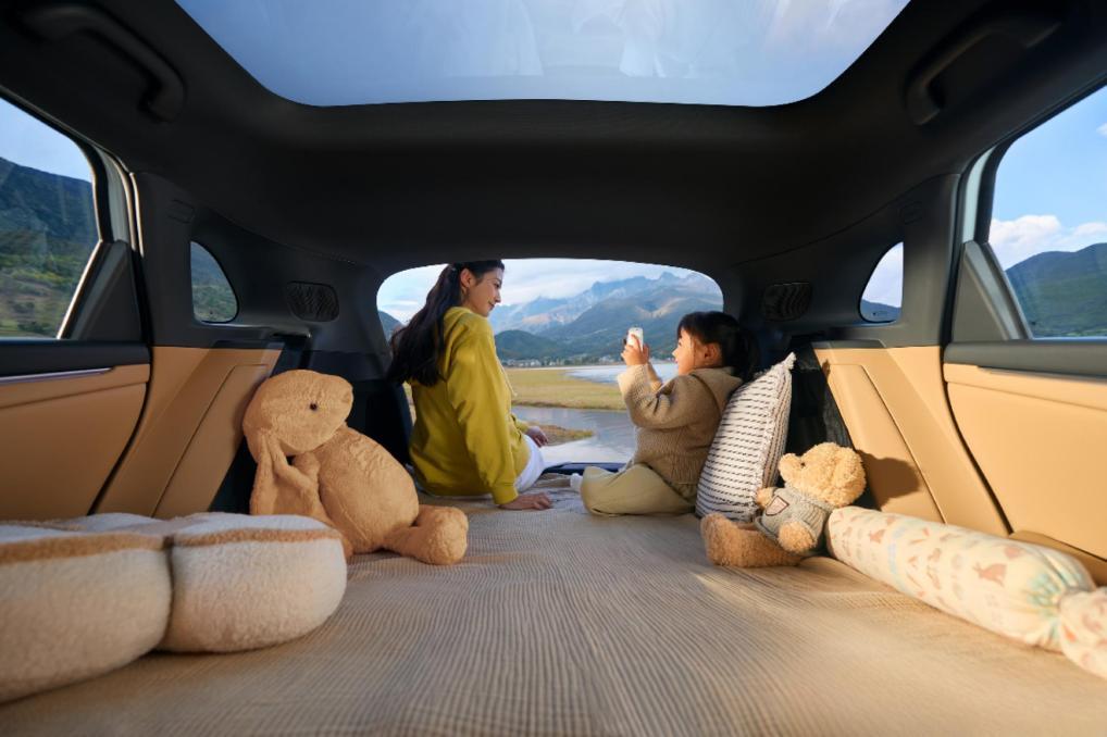 极狐阿尔法T5神行版PK零跑C11 智驾全方位对比