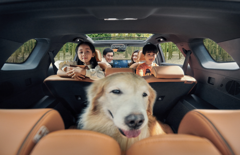 20万级燃油车除了价格战还有什么优势?