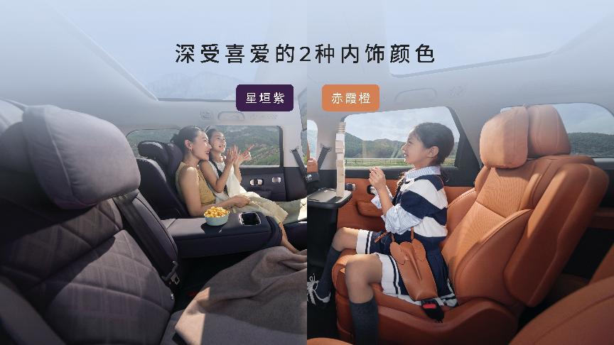 零跑C16对比理想L6海狮07 DM-i谁更值